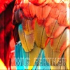 Feather - EP