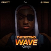 The Second Wave Mixtape (feat. Ruger & Dj Peekay) artwork