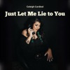 Just Let Me Lie to You - Single