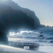 Aestas (All That I Wanted) artwork