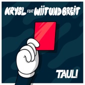 Tauli (feat. WiiTundBreit) artwork