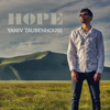 Yaniv Taubenhouse - Hope artwork