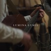 Lumina Lumii (Acoustic Live) [Acoustic Live] - Single
