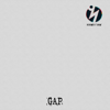 GAP - Ninety One