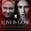 Love Is Gone - EP