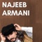 Pashto Khumari sterge - Najeeb Armani lyrics