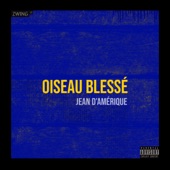 Oiseau blessé artwork