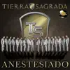 Anestesiado - Single album lyrics, reviews, download