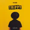 Trippy - Single album lyrics, reviews, download