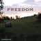 Freedom - Mr.NotchilLust lyrics