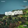 RioWood - Single album lyrics, reviews, download