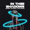 In the Shadows - Single