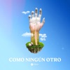 Como Ningún Otro