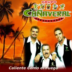 Caliente Como el Fuego - Single by Grupo Cañaveral de Humberto Pabón album reviews, ratings, credits
