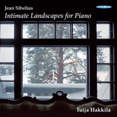 Intimate Landscapes for Piano artwork