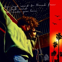 TDH Ablum Cover