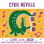 Cyril Neville - Tambourine (Live)