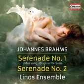 Serenade No. 2 in A Major, Op. 16: III. Adagio non troppo artwork