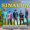 Soy de Sinaloa - Single