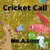 Cricket Call (feat. Dope Boyz Muzic) - Single album lyrics, reviews, download