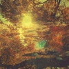 Rays of the Sun - Single