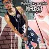 Different (feat. Pablo Skywalkin) - Single album lyrics, reviews, download