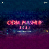 Odia Mashup 2023 - Visual Uday & DJ Kunal