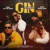 Na Onda do Gin (feat. Kyan) - Single album lyrics, reviews, download