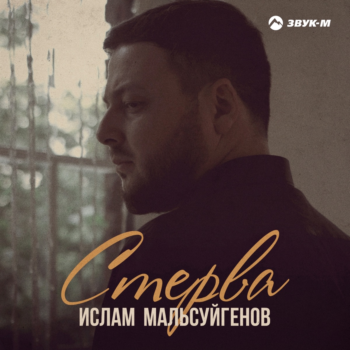 Ислам Мальсуйгенов – Стерва: слушать и скачать mp3 песню