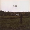 Skin - Single