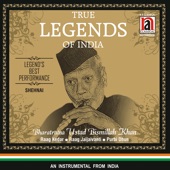 True Legends Of India Ustad Bismillah Khan artwork