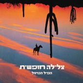 צלילה חופשית artwork