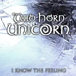 I Know the Feeling - Single by Two Horn Unicorn album reviews, ratings, credits
