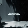 Missing You - Single