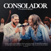 Consolador (En Vivo) artwork