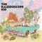 Hell or High Water - The Kaleidoscope Kid lyrics