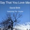 Say That You Love Me (feat. Tori Snyder) - David Britt lyrics