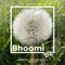 Bhoomi (feat. Mariana Baraj & Elly Kellner) - Bijayashree Samal & Bruno Steffen lyrics