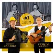 O Canário e o Miranda (1990) artwork