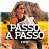 Passo a Passo - Single