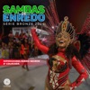 Sambas de Enredo (Série Bronze 2024)