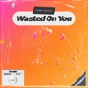 Wasted On You - Single, 2023