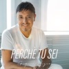 Perchè tu sei - Single