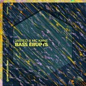Bass Erupts artwork