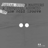 House Acid Groove - Single
