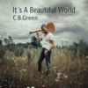 It's a Beautiful World - Single