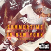 Summertime in New York artwork