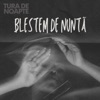 Blestem de Nunta - Single