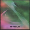 watermelons - Single