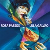 Rosa Passos e Lula Galvão
